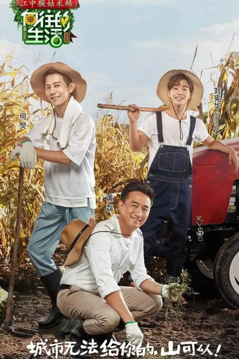无影灯下电视剧