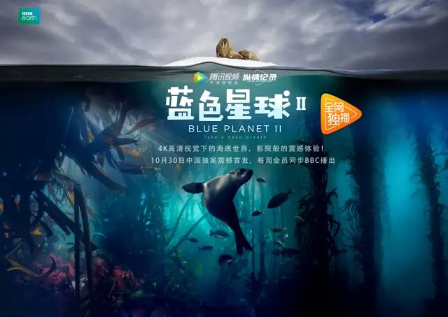 从结婚开始恋爱电视剧剧照3